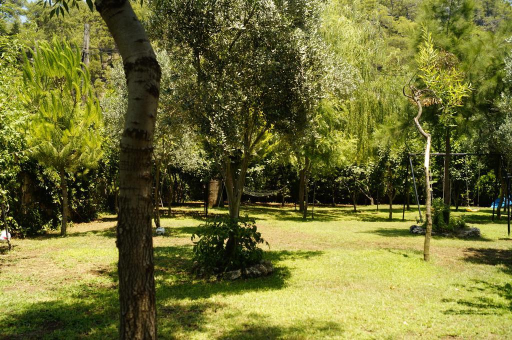 גוג'ק Hotel Dalos מראה חיצוני תמונה