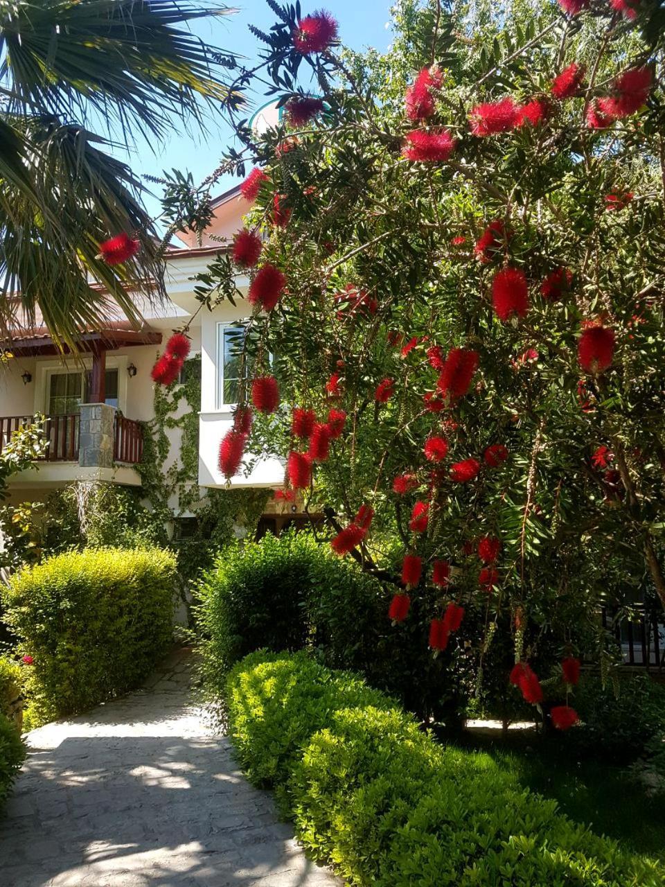 גוג'ק Hotel Dalos מראה חיצוני תמונה
